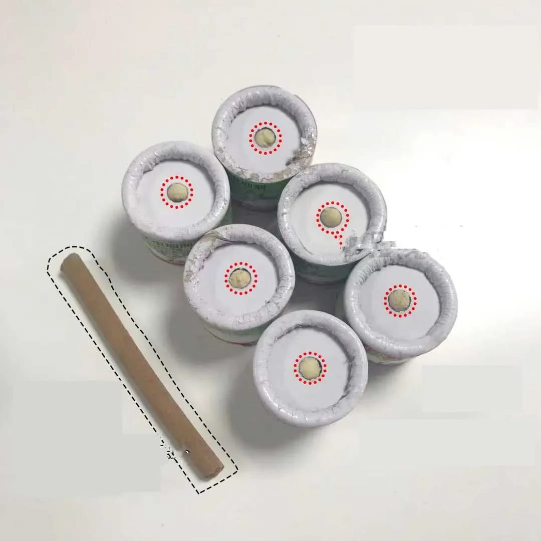6pcs Insect Control Magical Smog For All Kids Of Insects (Available)