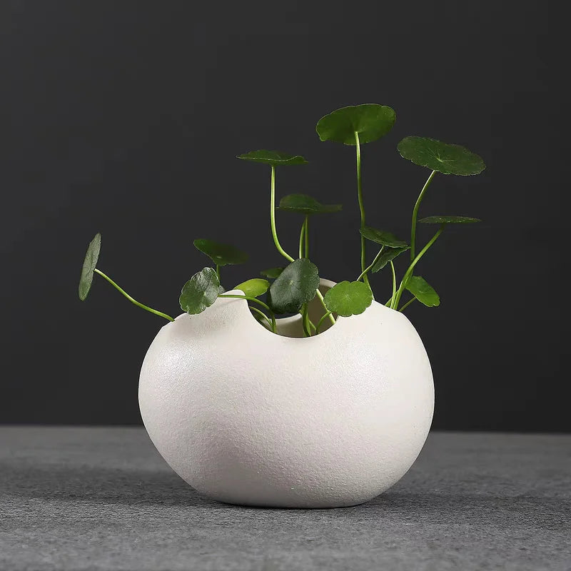 Broken Eggshells Shapes Ceramic Flowerpot Simple Succulent Plant Container Green Planter Small Bonsai Pots Home Decoration