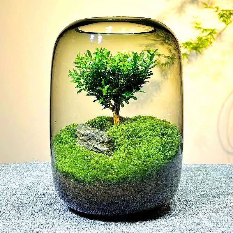 Creative Grey Glass Bottles Moss Landscaping Bottle Succulent Glass Vase Hydroponic Container Micro Landscape Glass Terrarium