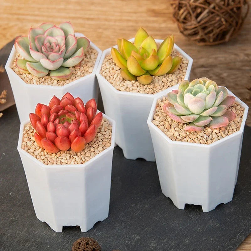 Octagonal Flowerpot Plastic Flower Pots Set White Plant Pot with Drainage Holes Indoor Outdoor Succulents Growth Pots ZYF