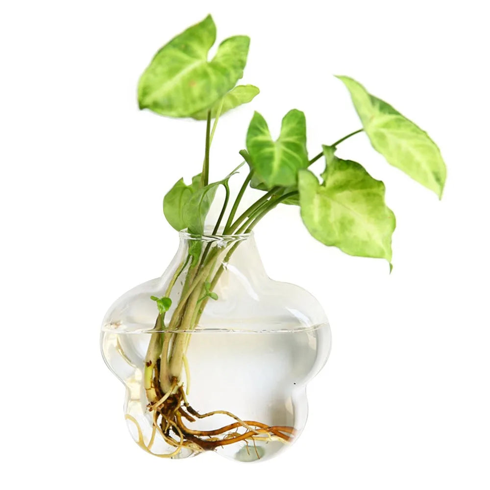 Cone Shape Wall Hanging Vase Transparent Fish Tank Wall Planter Plant Holder Aquarium Container Hydroponics Plants Flowerpot