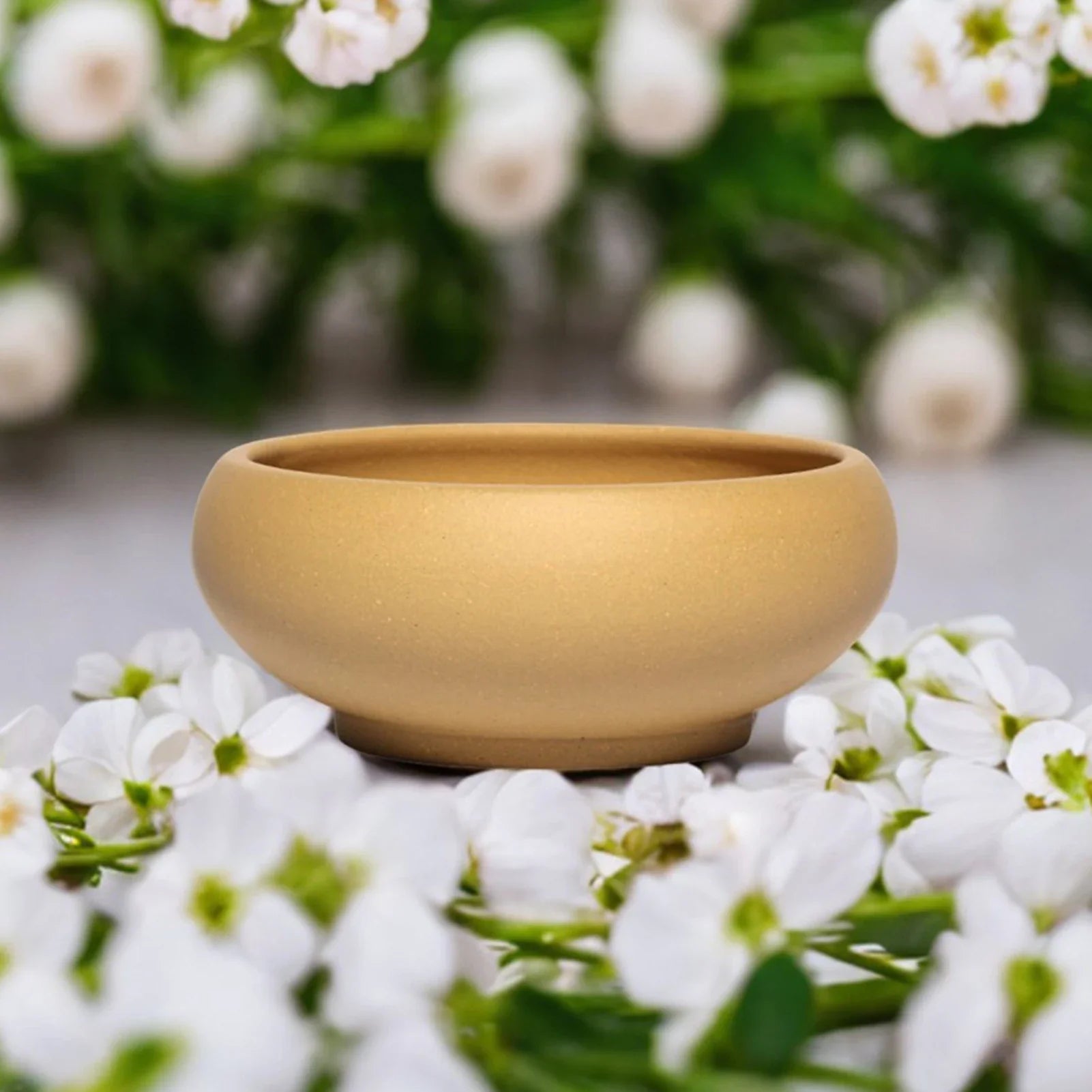 Flowerpot Red Stoneware Flower Pots With Drain Hole Elegant Promote Healthy Growth Planter For Balcony Living Room Bedroom