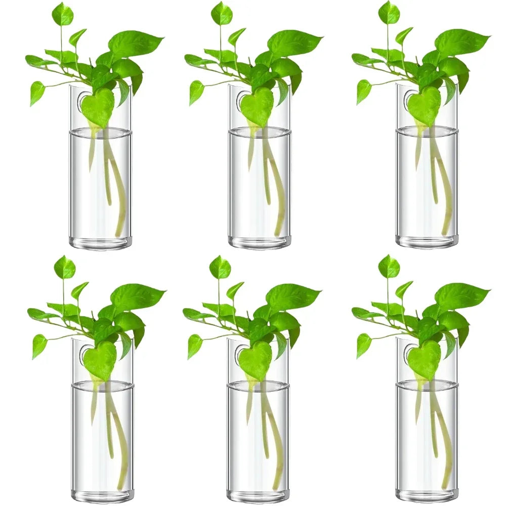 Glass Wall Vase Hanging Hydroponic Planter Wall-Mounted Flower Vases for Home Office Decor with Traceless Hook