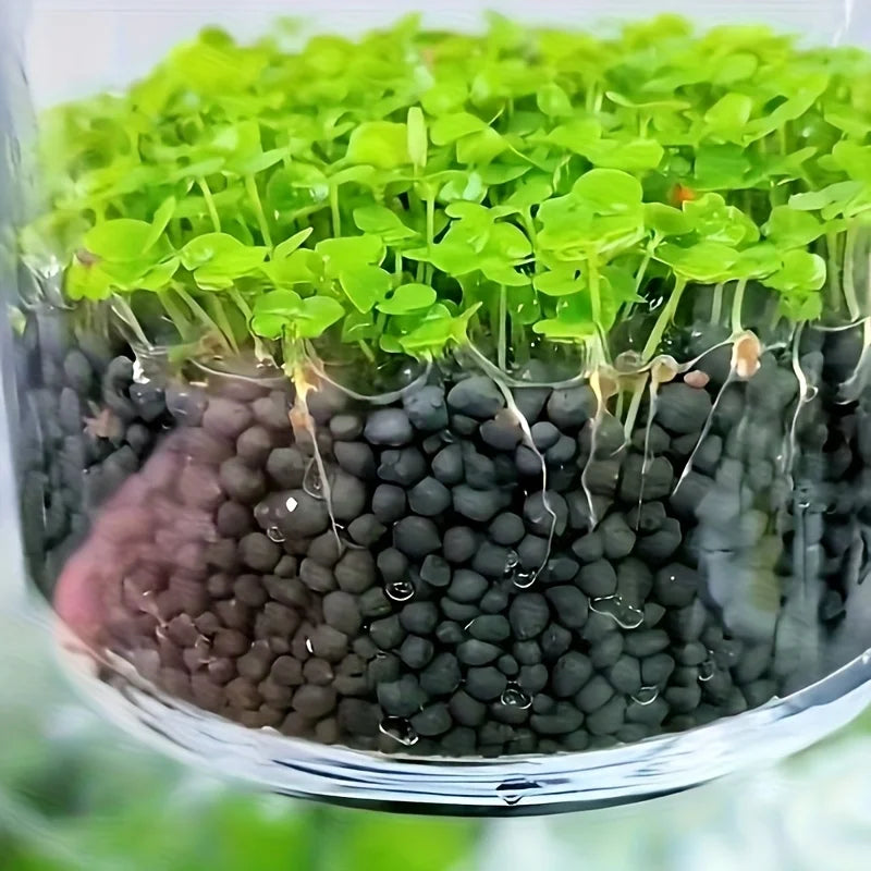 Aquarium Plant Substrate Aquatic Soil for Fish Tank Decoration and Aquascaping Essential for Aquarium Enthusiasts