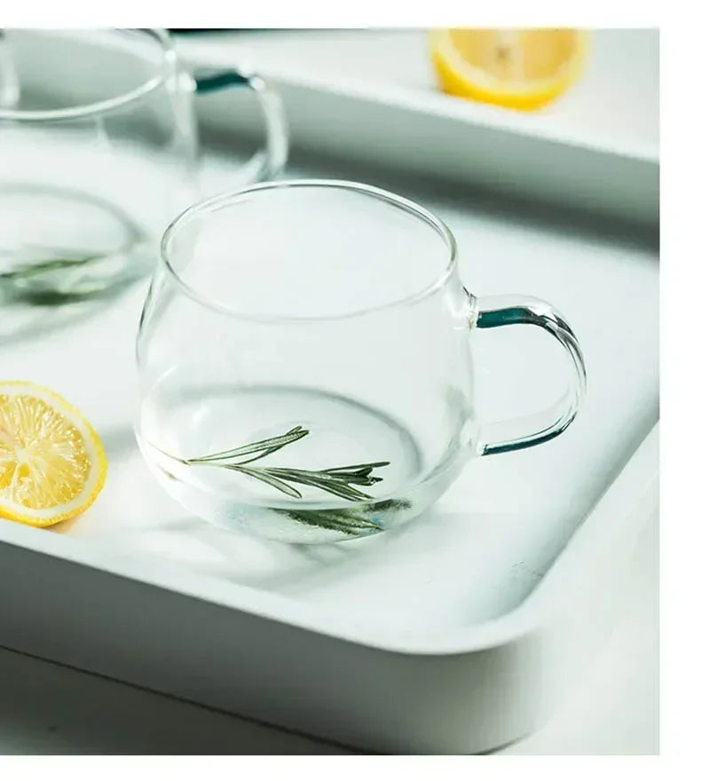 Borosilicate Glass Teapot Heat-Resistant Large Clear Tea Pot  Flower Tea Set Puer Kettle Cup Office Home Tool