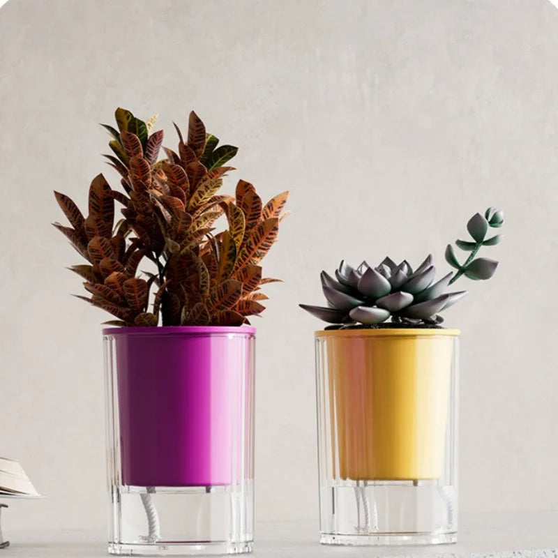 Self Watering Flower Pot Clear Succulents Vases Indoor Hydroponic Flowerpot Plastic Bonsai Planters Desk Ornaments Home Decor