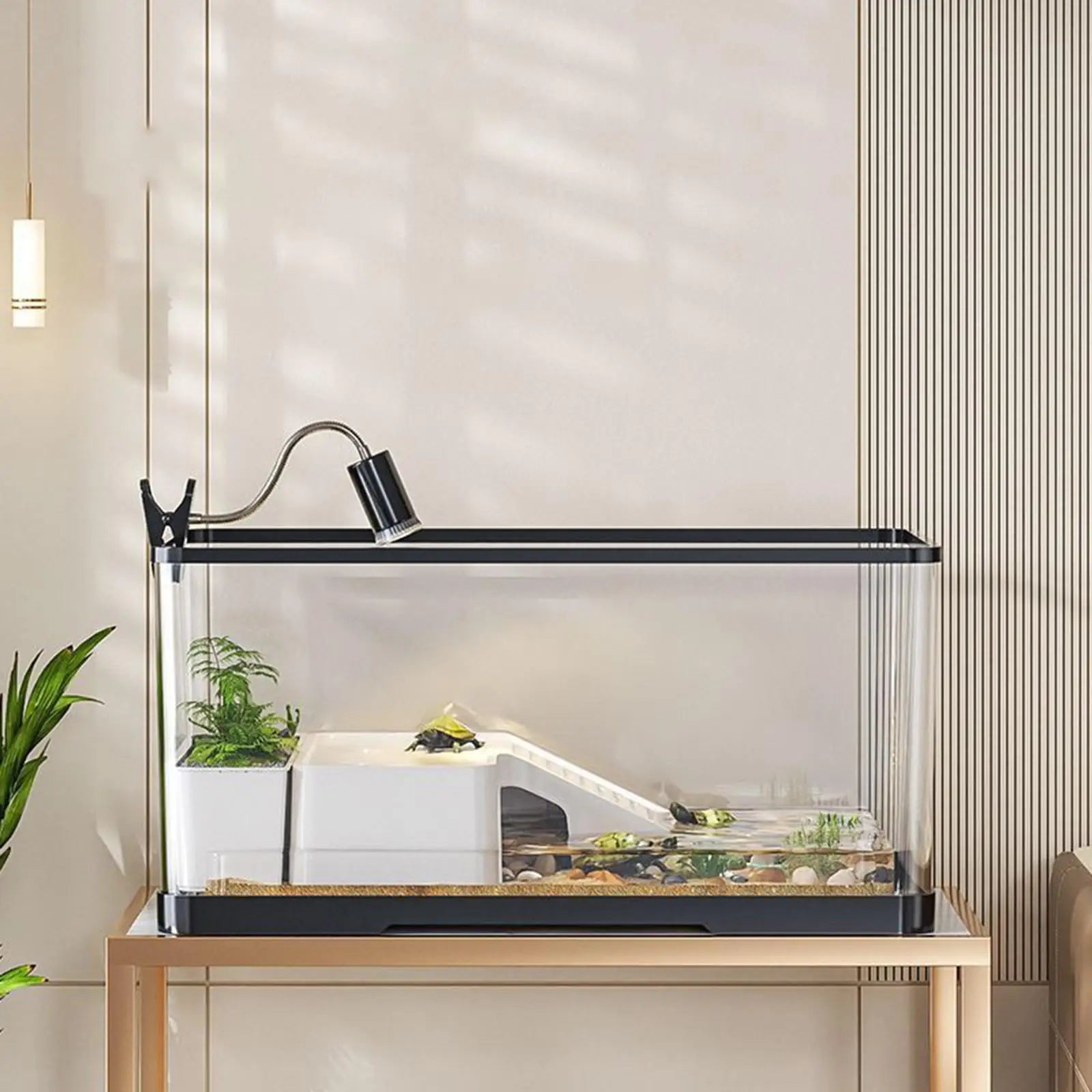 Reptile Habitat Turtle Aquarium Box with Lid Multifunction Terrarium Supplies for Turtles Fishes Amphibians