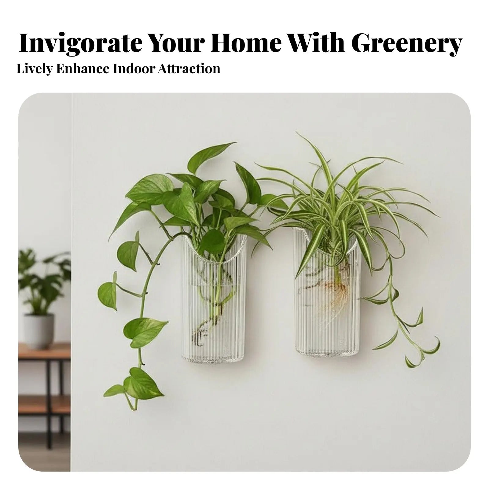 Adhesive Plant Holder No-Tools-Needed Installation Adhesive Ribbed Flower Holder Hydroponics Compatible Space-Saving