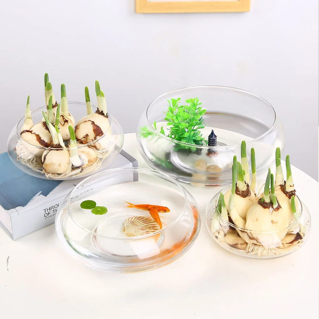 Glass Vase Bowl Wide Mouth Flower Vase Round Terrarium Glass Hydroponic Planter Floral Container Clear Fish Bowl Succulents Pot