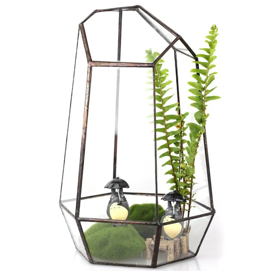 Contemporary Geometric Terrarium Irregular Glass Plant Box Tabletop Succulent Holder for Home Styling