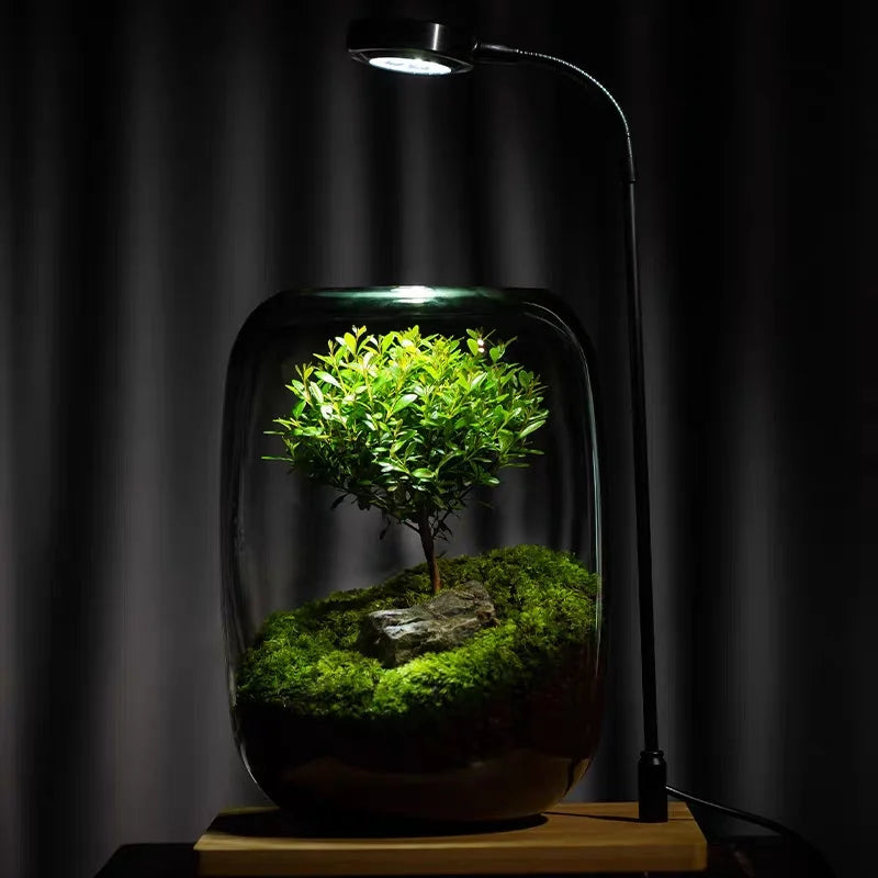 Creative Grey Glass Bottles Moss Landscaping Bottle Succulent Glass Vase Hydroponic Container Micro Landscape Glass Terrarium