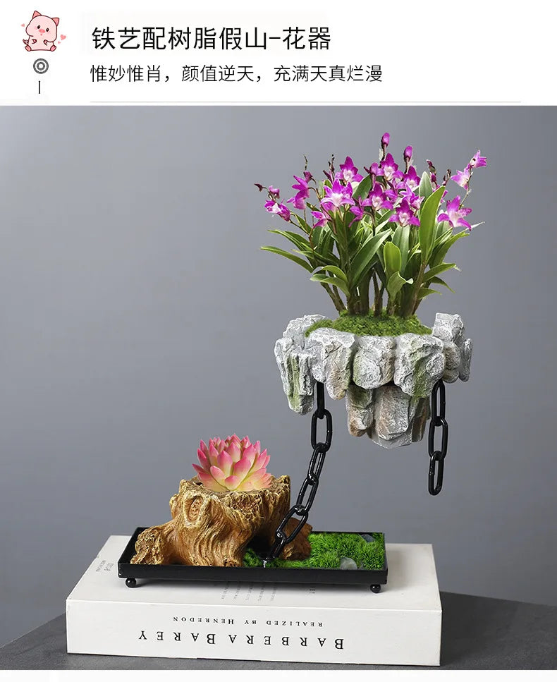 Creative Bamboo Succulent Pot Rich Tree Bonsai Iron Tree Rice Bamboo Indoor Floating Island Suspended Iron Micro Landscape Pot