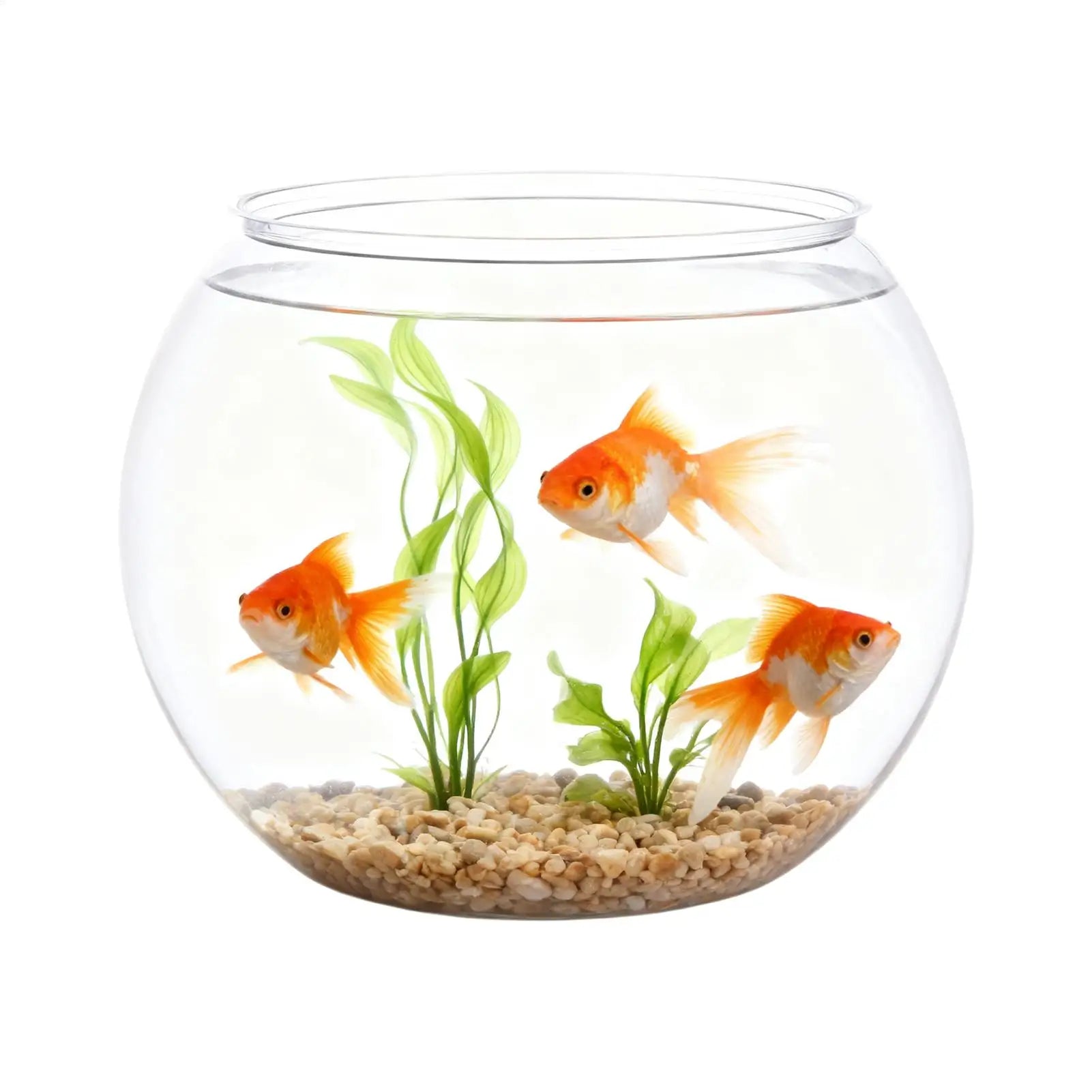 Bubble Bowl Space-Saving Aquarium Accessories Bubble Planter Bowl for Table Centerpiece Party Decorations Home Event Indoor