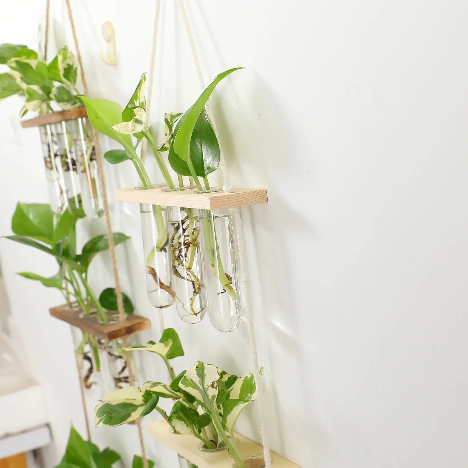 Creative green radish hydroponic plant glass transparent vase flower arrangement water flower pot hemp rope test tube wall hangi