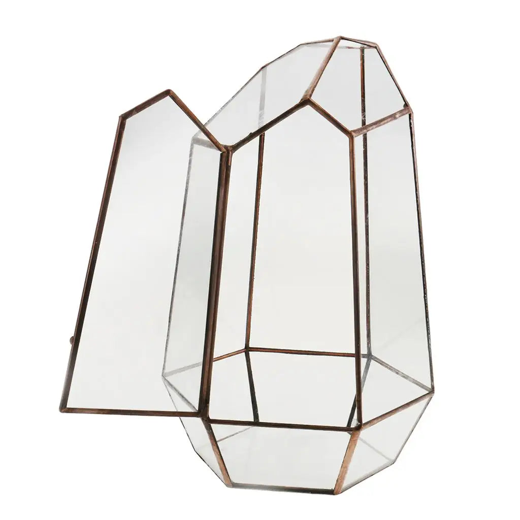 Contemporary Geometric Terrarium Irregular Glass Plant Box Tabletop Succulent Holder for Home Styling