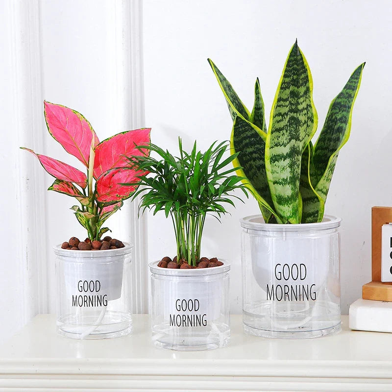 Flower Pot Automatic Water-Absorbing Flowerpot Transparent Double Layer Plastic Self Watering Planter Office