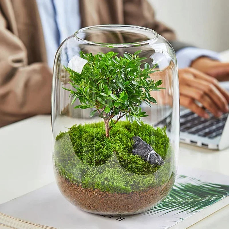 Glass fish tank, decorative vase, home, restaurant, commercial center, office desktop display for viewing
