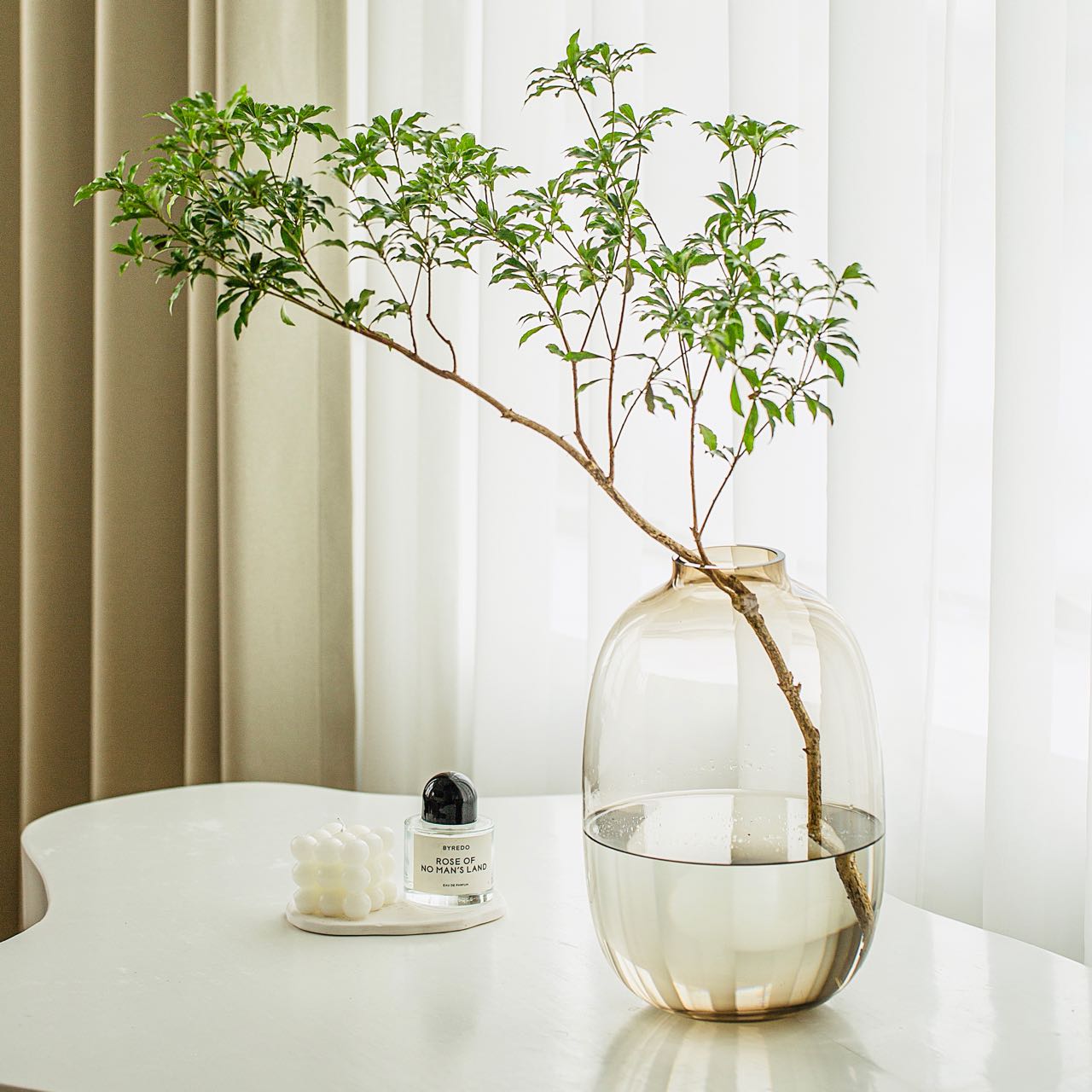 Simple Horse Drunk Wood Vase Potbelly Glass Transparent Aquatic Living Room  Flower Arrangement  Floor Utensils  Fresh Vase