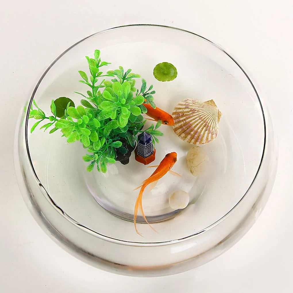 Glass Vase Bowl Wide Mouth Flower Vase Round Terrarium Glass Hydroponic Planter Floral Container Clear Fish Bowl Succulents Pot