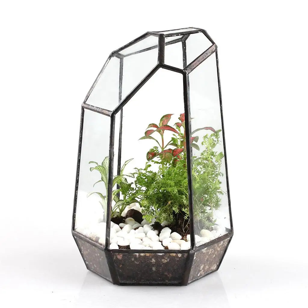 Contemporary Geometric Terrarium Irregular Glass Plant Box Tabletop Succulent Holder for Home Styling