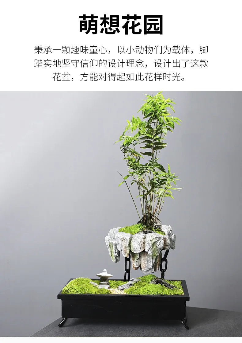 Creative Bamboo Succulent Pot Rich Tree Bonsai Iron Tree Rice Bamboo Indoor Floating Island Suspended Iron Micro Landscape Pot