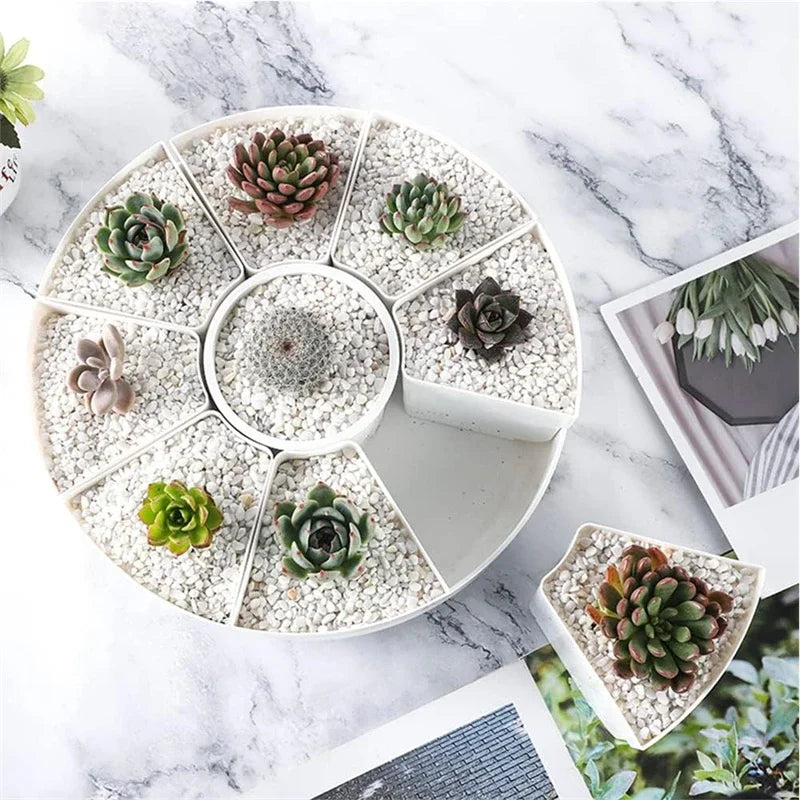 Oval shaped multiple rotatable flower pots - White succulent plant potted plant - Plant storage pot with drainage tray