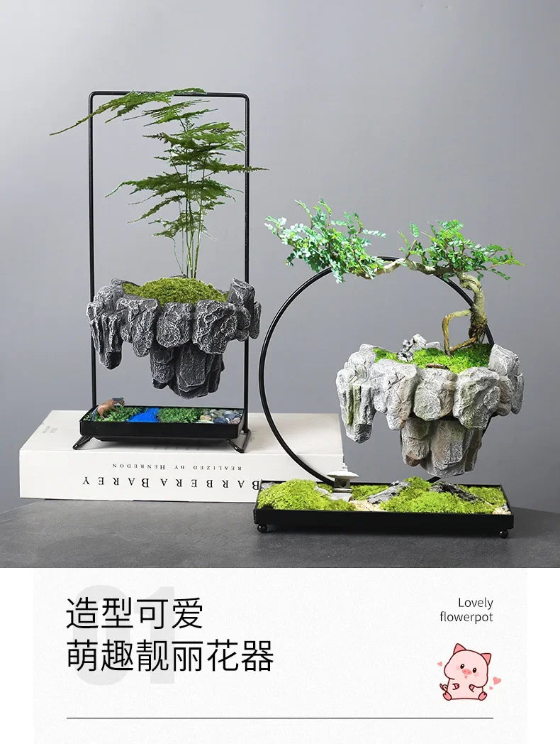 Creative Bamboo Succulent Pot Rich Tree Bonsai Iron Tree Rice Bamboo Indoor Floating Island Suspended Iron Micro Landscape Pot