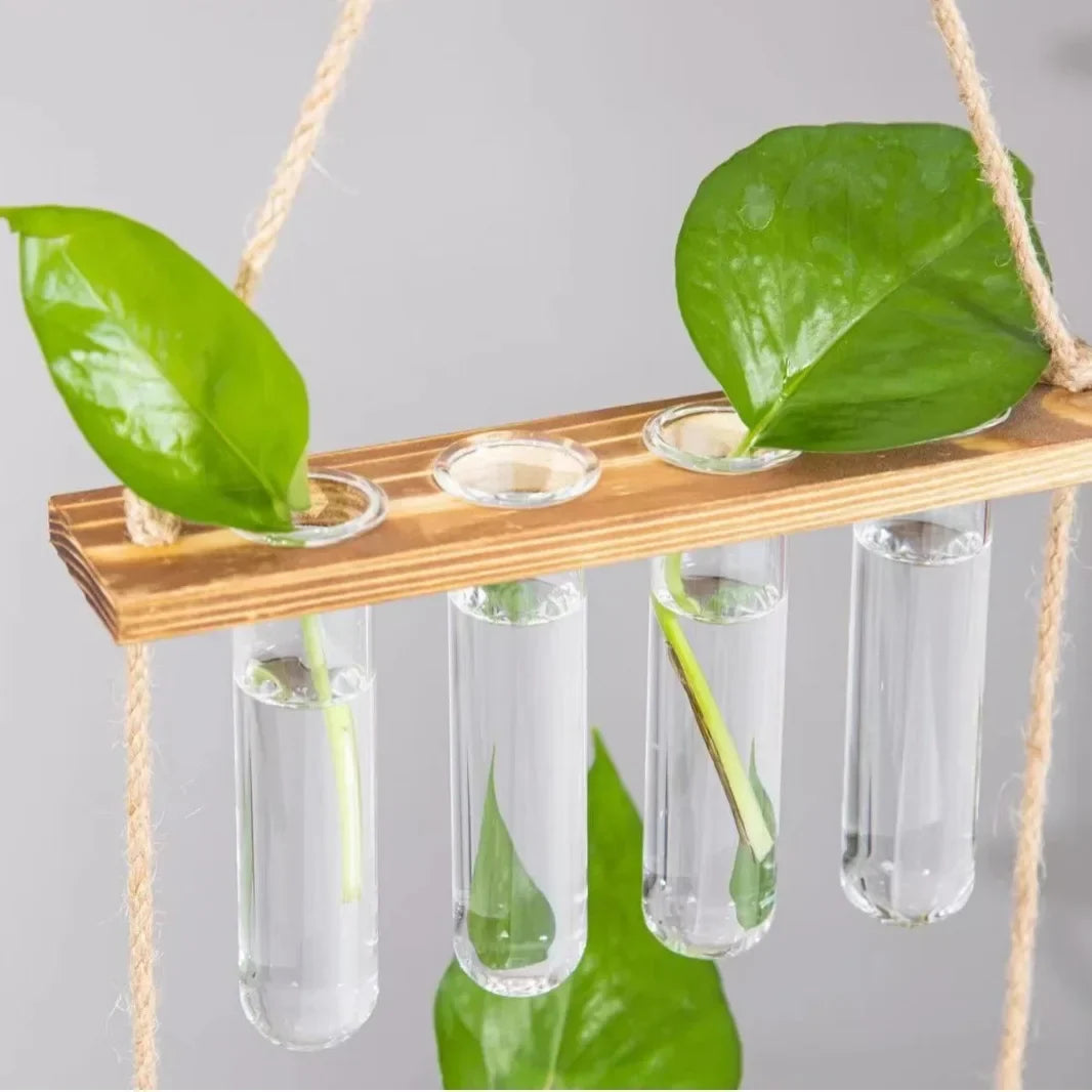 Creative green radish hydroponic plant glass transparent vase flower arrangement water flower pot hemp rope test tube wall hangi