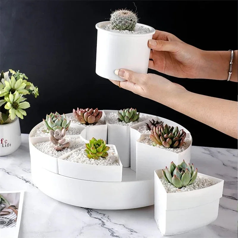 Oval shaped multiple rotatable flower pots - White succulent plant potted plant - Plant storage pot with drainage tray