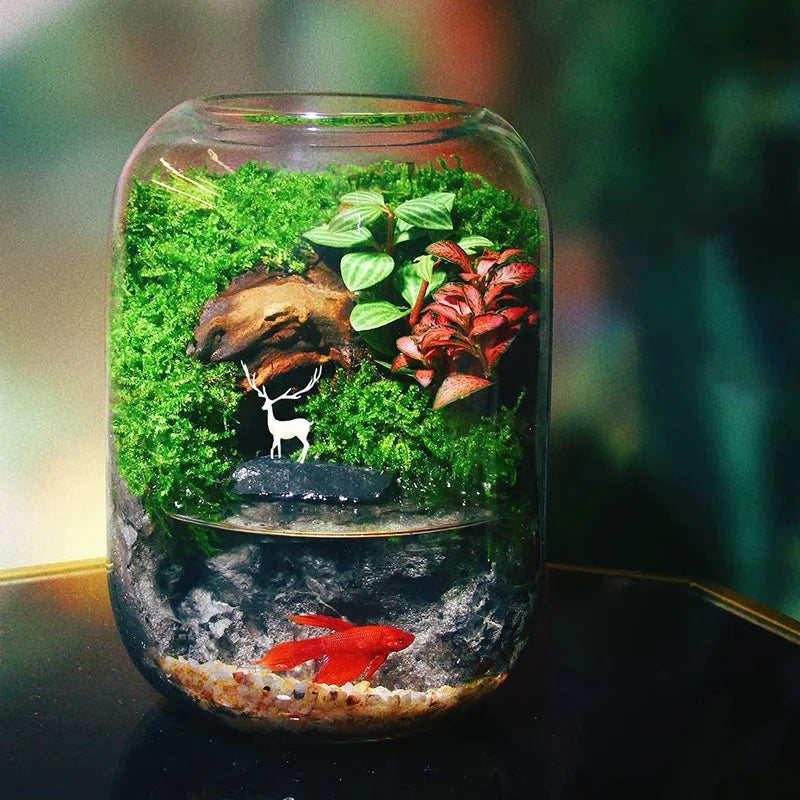 Glass fish tank, decorative vase, home, restaurant, commercial center, office desktop display for viewing