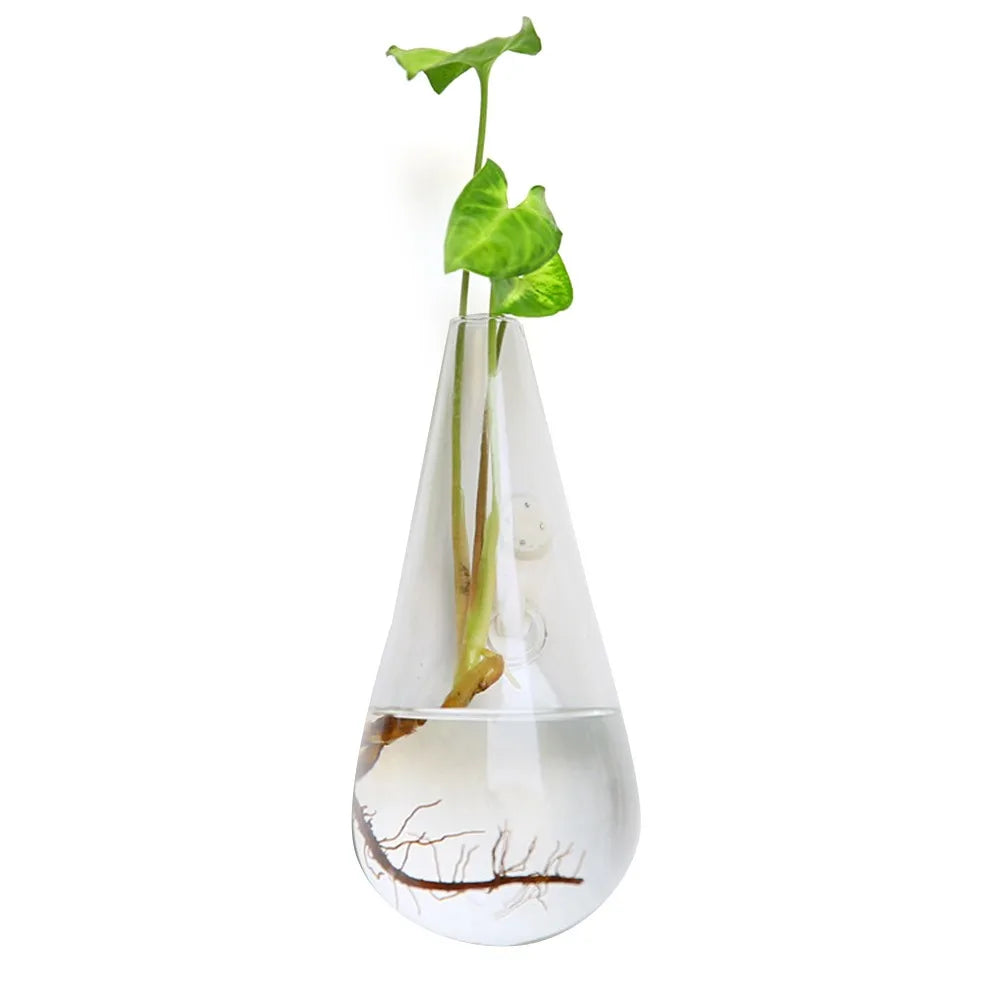 Cone Shape Wall Hanging Vase Transparent Fish Tank Wall Planter Plant Holder Aquarium Container Hydroponics Plants Flowerpot