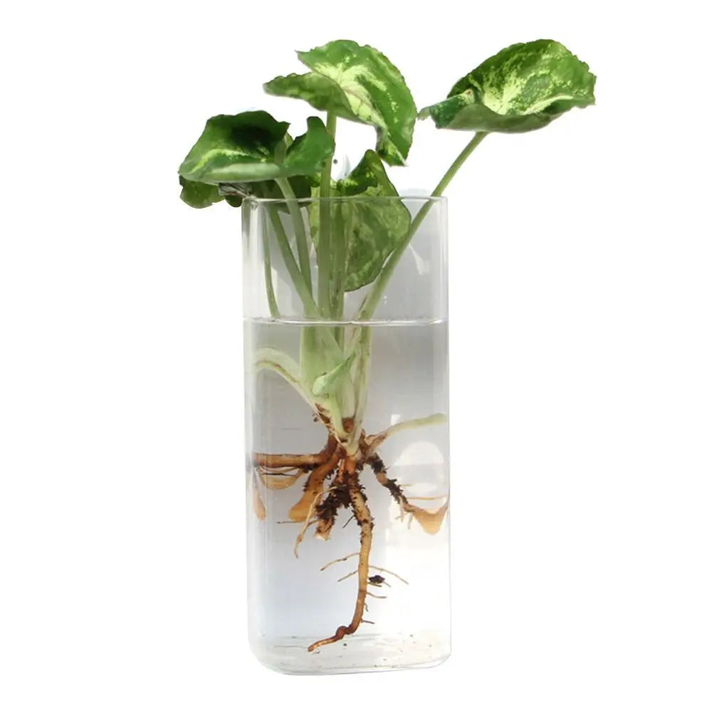Cone Shape Wall Hanging Vase Transparent Fish Tank Wall Planter Plant Holder Aquarium Container Hydroponics Plants Flowerpot