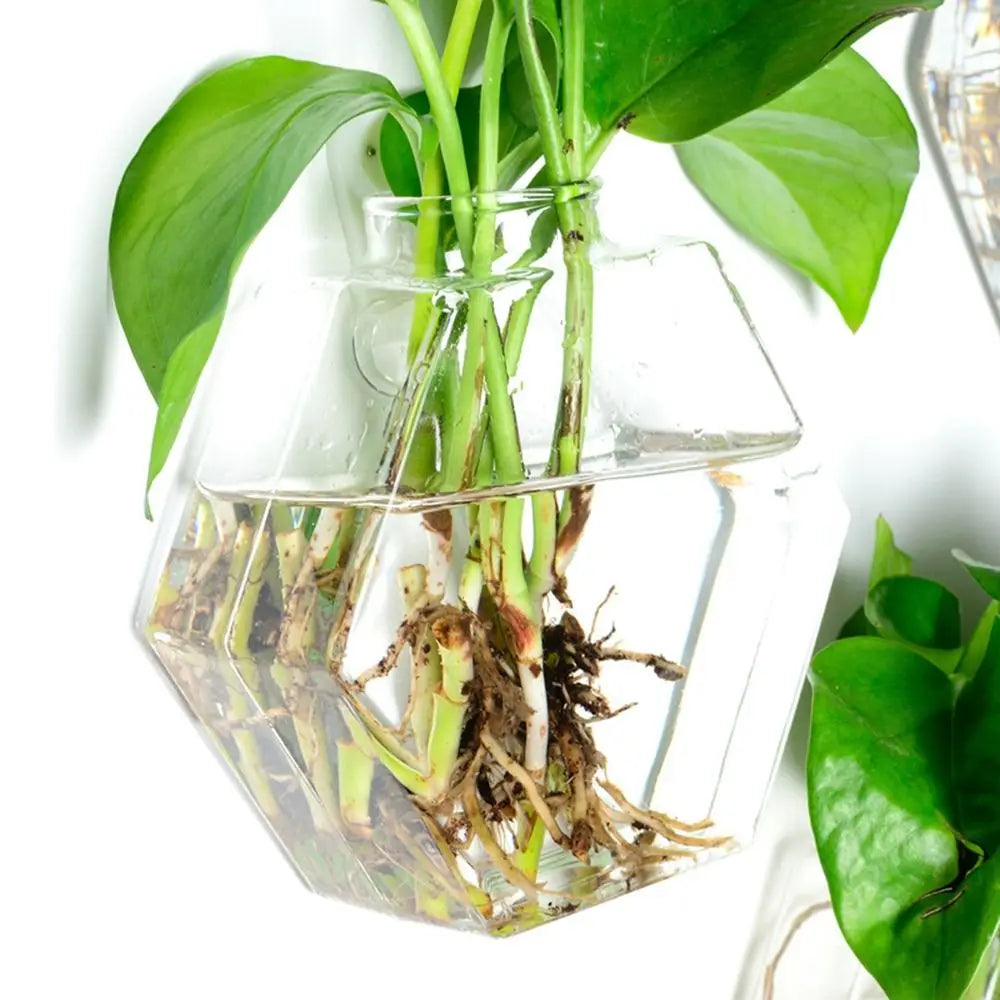 Cone Shape Wall Hanging Vase Transparent Fish Tank Wall Planter Plant Holder Aquarium Container Hydroponics Plants Flowerpot