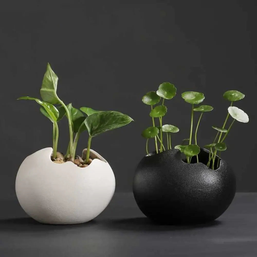 Creative Ceramic Flowerpot Broken Eggshells Shapes Decorative Succulent Plant Container Bonsai Pot Office