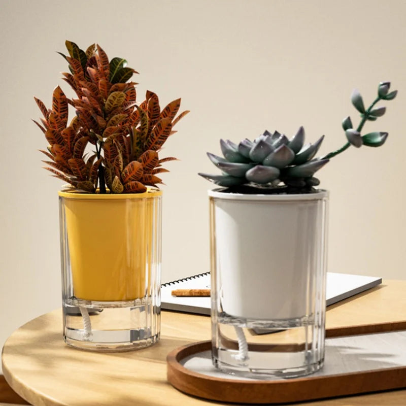 Self Watering Flower Pot Clear Succulents Vases Indoor Hydroponic Flowerpot Plastic Bonsai Planters Desk Ornaments Home Decor