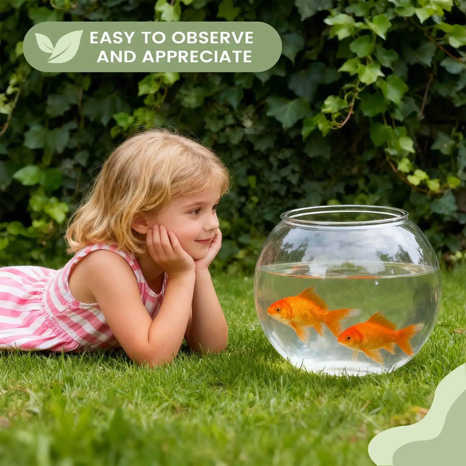 Bubble Bowl Space-Saving Aquarium Accessories Bubble Planter Bowl for Table Centerpiece Party Decorations Home Event Indoor