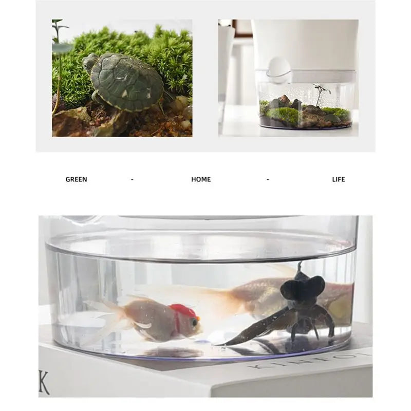 ABHZ-Hydroponic Automatic Water Absorption Succulent Flower Pot Self-Watering Flower Pot Hydroponic Lazy Flower Pot