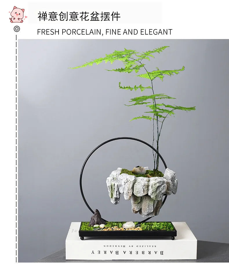 Creative Bamboo Succulent Pot Rich Tree Bonsai Iron Tree Rice Bamboo Indoor Floating Island Suspended Iron Micro Landscape Pot