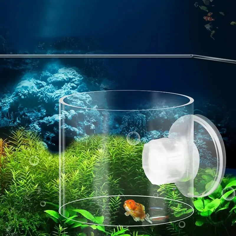 Fish Feeding Aquarium Feeding Ring Fish Tank Station Floating Food Tray Feeder Aquarium Accessory with Strong Suction Cups