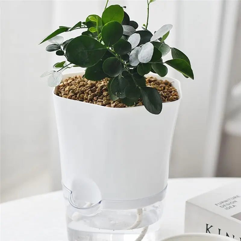 ABHZ-Hydroponic Automatic Water Absorption Succulent Flower Pot Self-Watering Flower Pot Hydroponic Lazy Flower Pot
