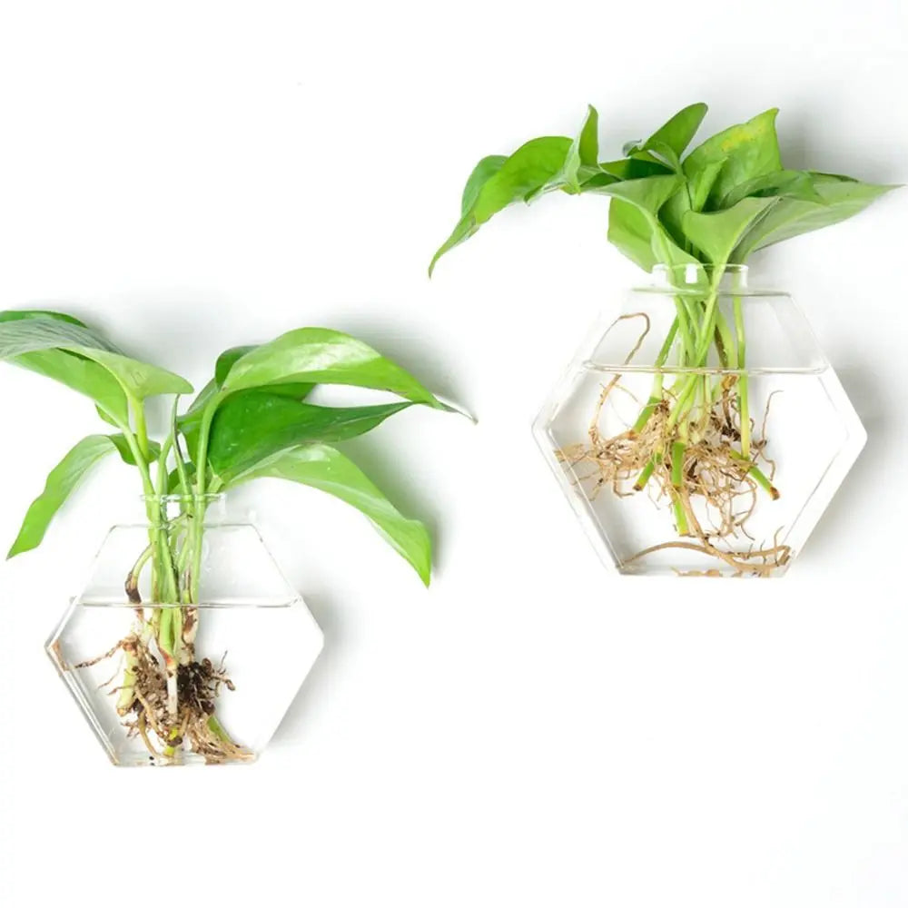 Cone Shape Wall Hanging Vase Transparent Fish Tank Wall Planter Plant Holder Aquarium Container Hydroponics Plants Flowerpot