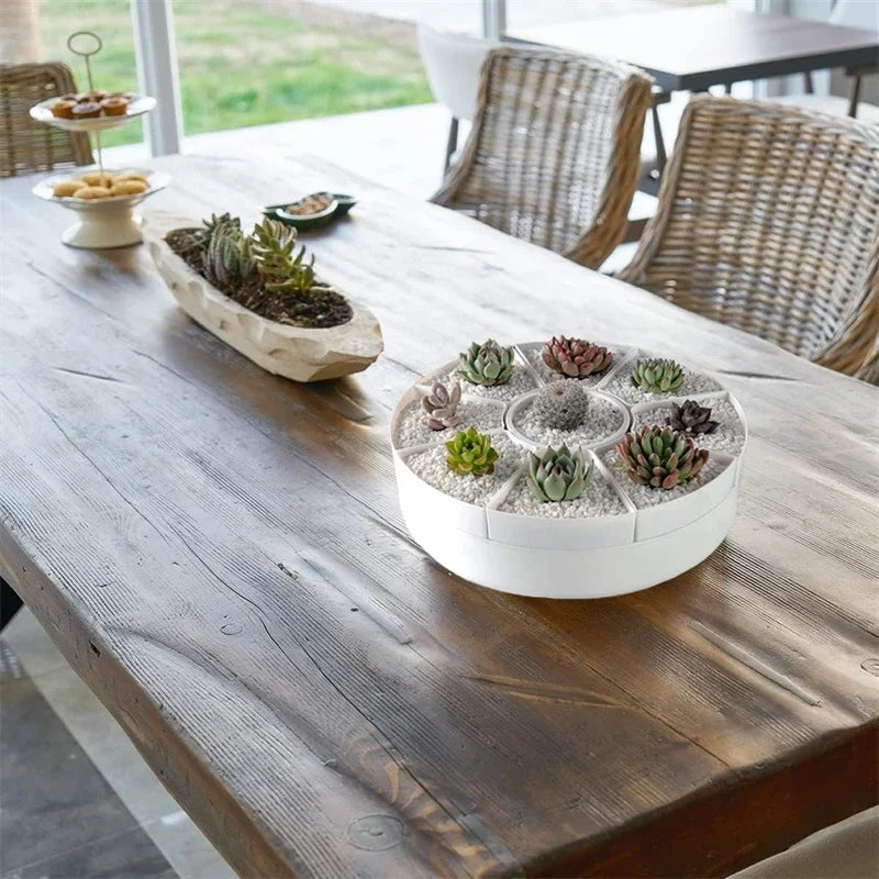 Oval shaped multiple rotatable flower pots - White succulent plant potted plant - Plant storage pot with drainage tray