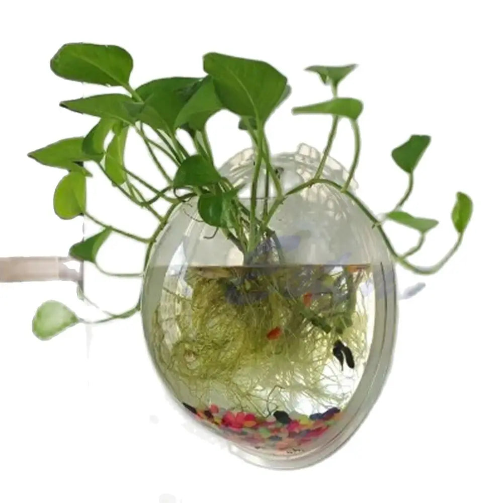 Wall Mounted Acrylic Fish Bowl Transparent Wall Hanging Fish Tank  Wall Mounted Aquarium Wall Plant Pot Planter