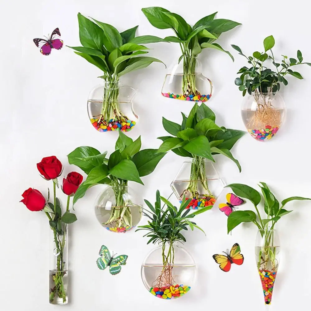 Cone Shape Wall Hanging Vase Transparent Fish Tank Wall Planter Plant Holder Aquarium Container Hydroponics Plants Flowerpot
