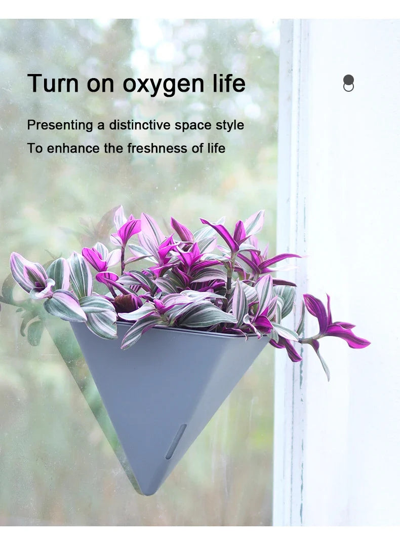 Fashion Triangular Wall Mounted Flower Pots Self Watering Hanging Basin for Plants Lazy Flowerpot Office Home Garden Accessories