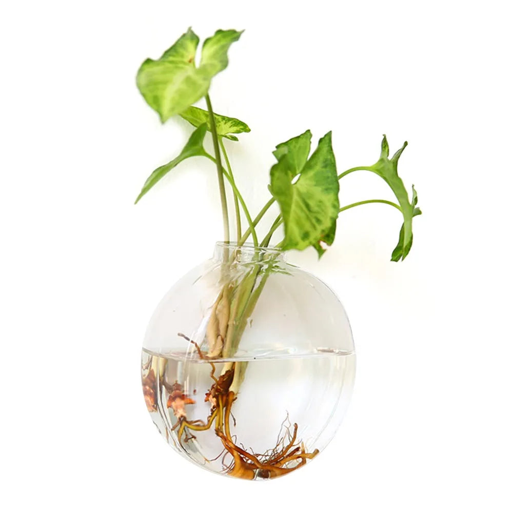 Cone Shape Wall Hanging Vase Transparent Fish Tank Wall Planter Plant Holder Aquarium Container Hydroponics Plants Flowerpot