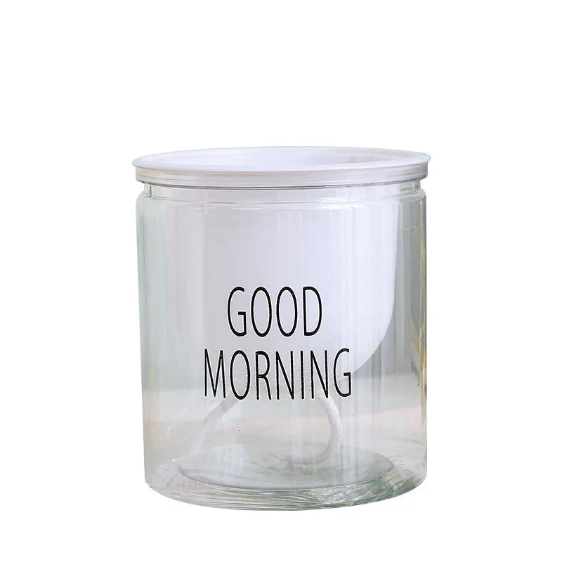 Flower Pot Automatic Water-Absorbing Flowerpot Transparent Double Layer Plastic Self Watering Planter Office