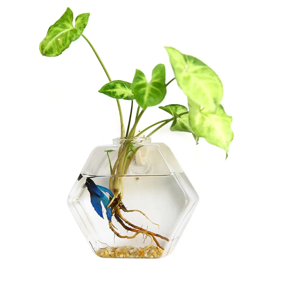 Cone Shape Wall Hanging Vase Transparent Fish Tank Wall Planter Plant Holder Aquarium Container Hydroponics Plants Flowerpot