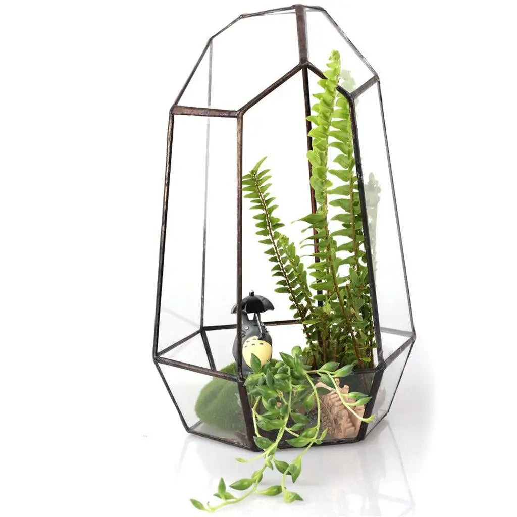Contemporary Geometric Terrarium Irregular Glass Plant Box Tabletop Succulent Holder for Home Styling