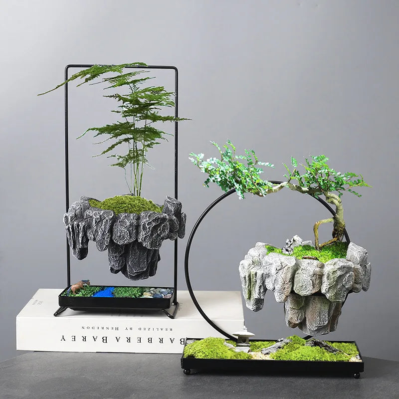 Creative Bamboo Succulent Pot Rich Tree Bonsai Iron Tree Rice Bamboo Indoor Floating Island Suspended Iron Micro Landscape Pot
